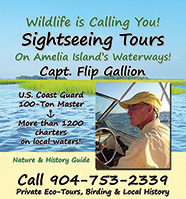 Captain Flip Gallion Tour Guide