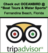 Review us on TripAdvisor